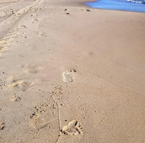 Plaza 10min - Brzezno Gdańsk