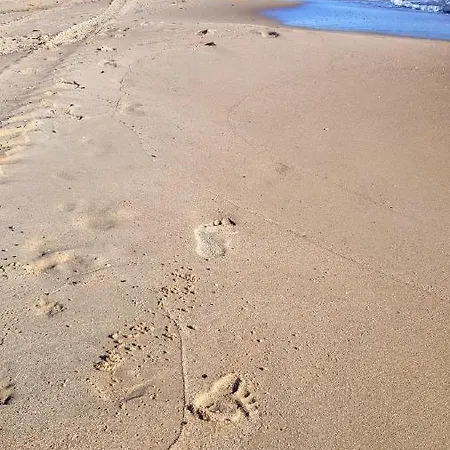 Plaza 10min - Brzezno Danzig